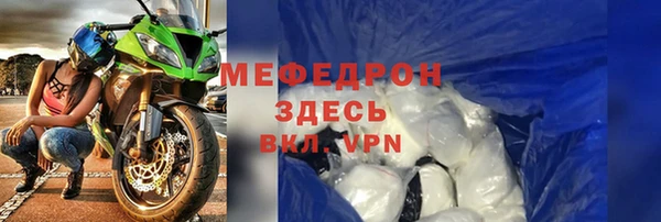 индика Козельск