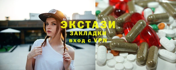 индика Козельск