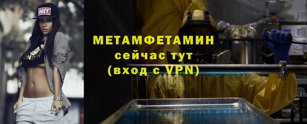 сатива Козловка