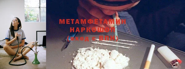 сатива Козловка