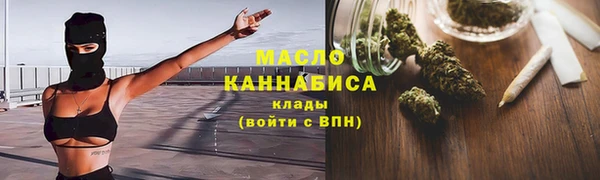 индика Козельск