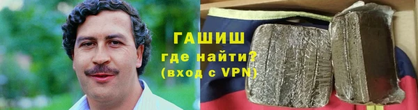 индика Козельск