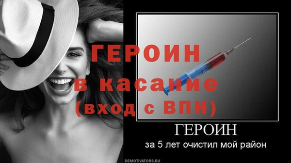 сатива Козловка