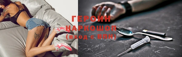 индика Козельск