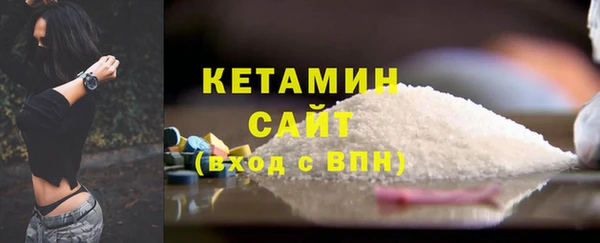 индика Козельск