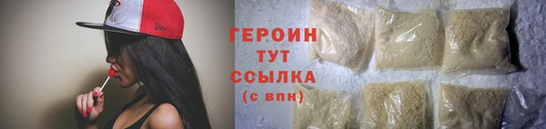 индика Козельск