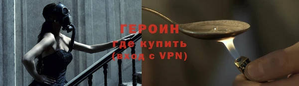 индика Козельск