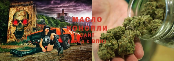 индика Козельск