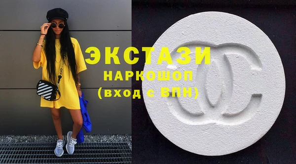 индика Козельск