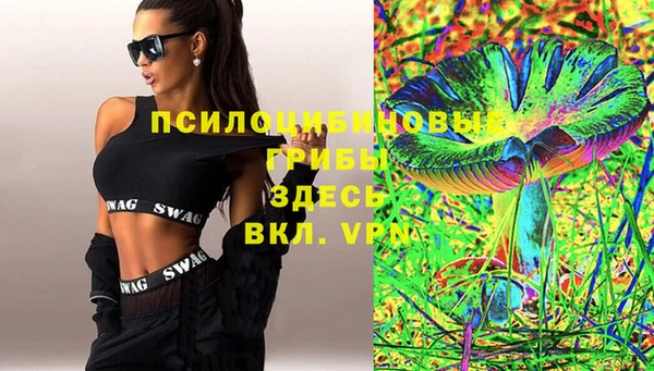 индика Козельск