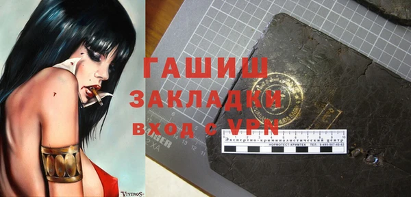 индика Козельск