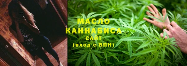 индика Козельск