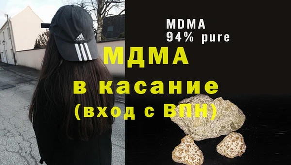 индика Козельск