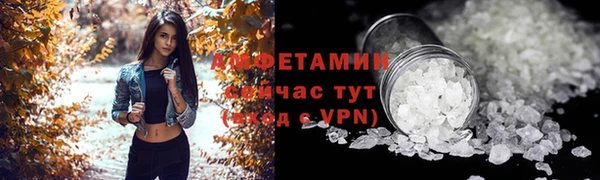 сатива Козловка