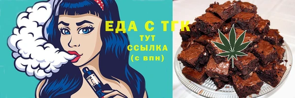 индика Козельск